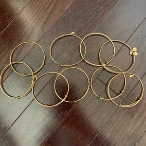 Alex and Ani Filler Bangle